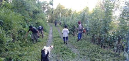 Jelang Nyepi Masyarakat Desa Gobleg Gotong Royong Bersihkan Jalan Desa